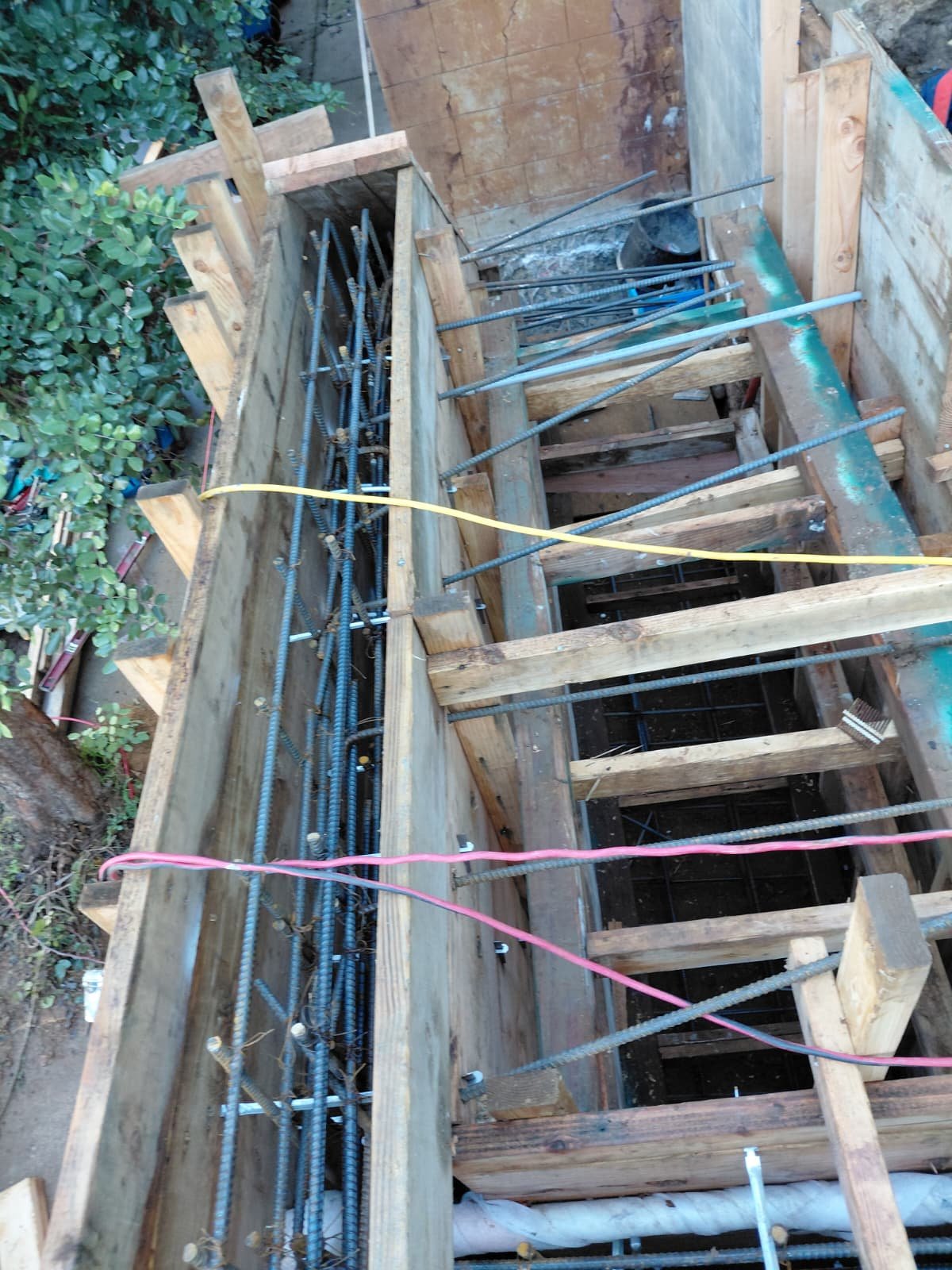 WhatsApp Image 2026-02-12 at 12.38.56 PM